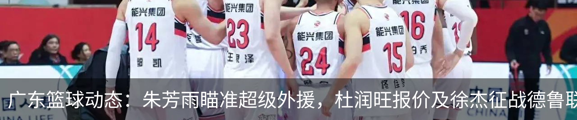 新闻动态