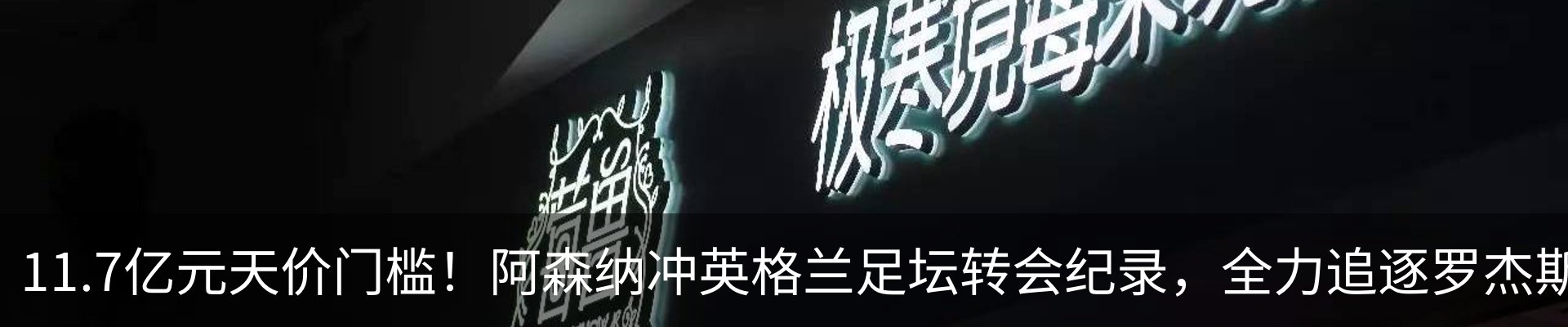 新闻动态
